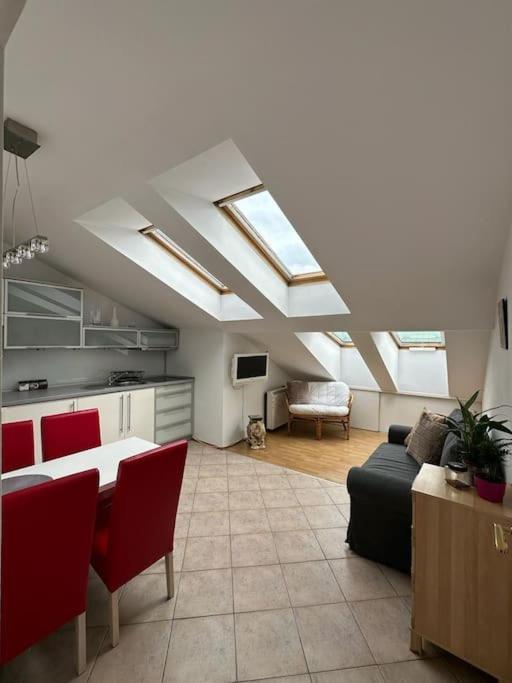 Luna Apartments 克拉科夫 外观 照片